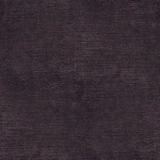 Coco-13-viola.jpg